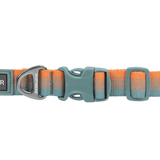 Ruffwear Front Range™ Collar, imageset:Spring Fade