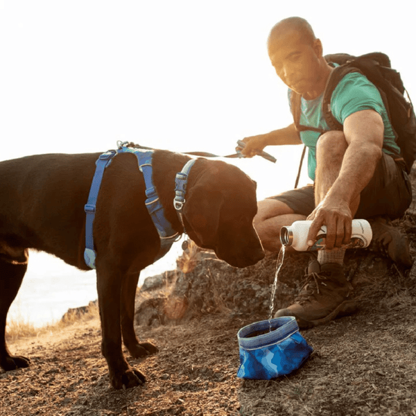 Ruffwear Quencher Bowl - Spring Mountains