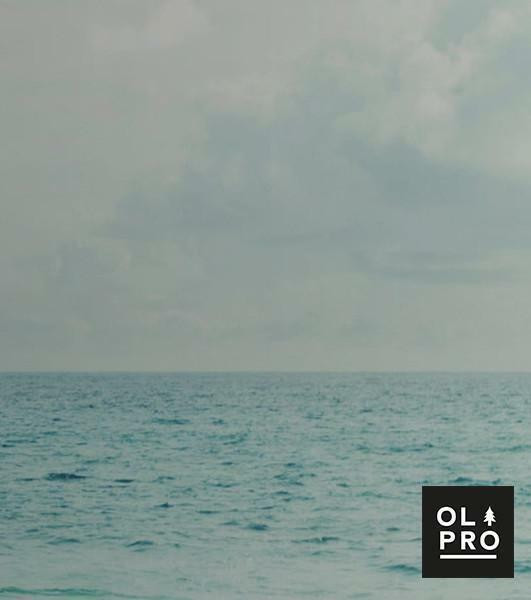 Pali Di Legno Frangiflutti Della Spiaggia Di Saint-Malo In Bretagna In Francia Foto Stock - Foto 10
