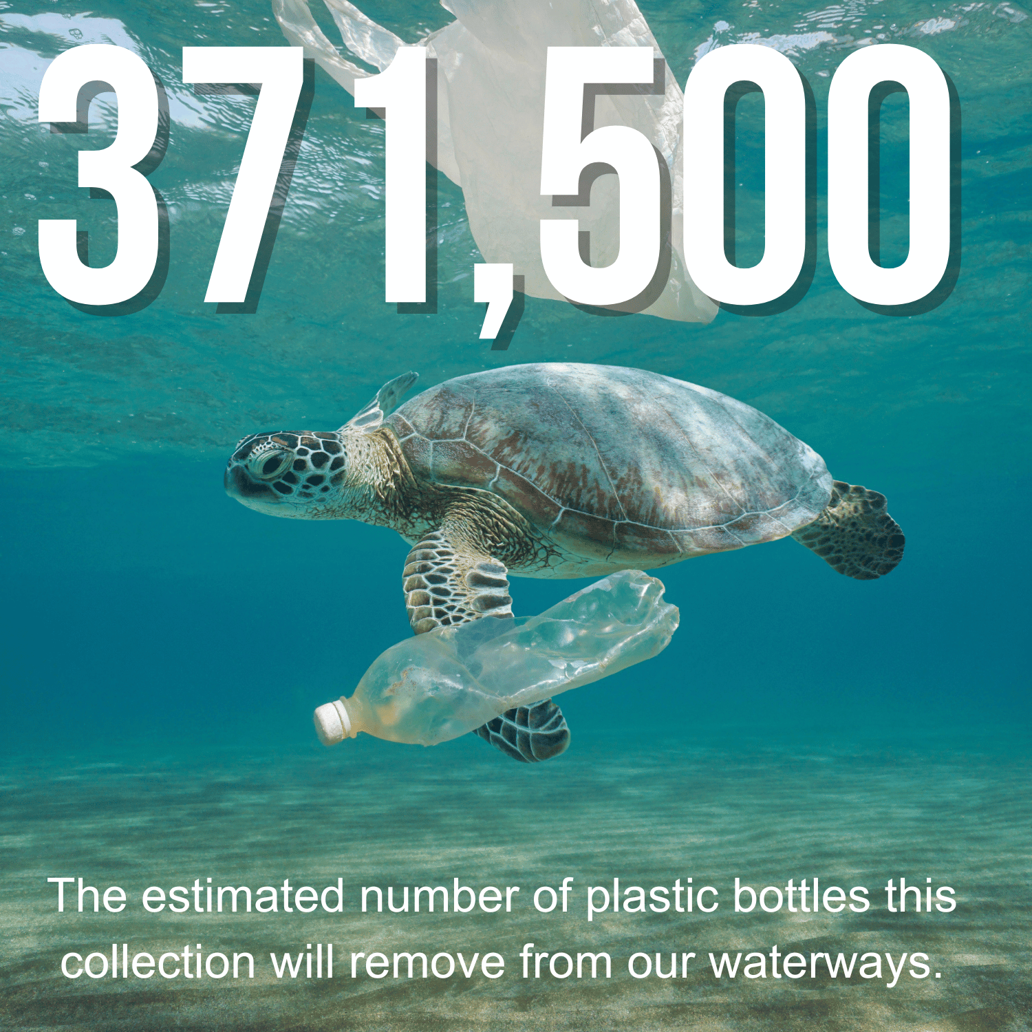 A sea turtle swims next to plastic refuse,