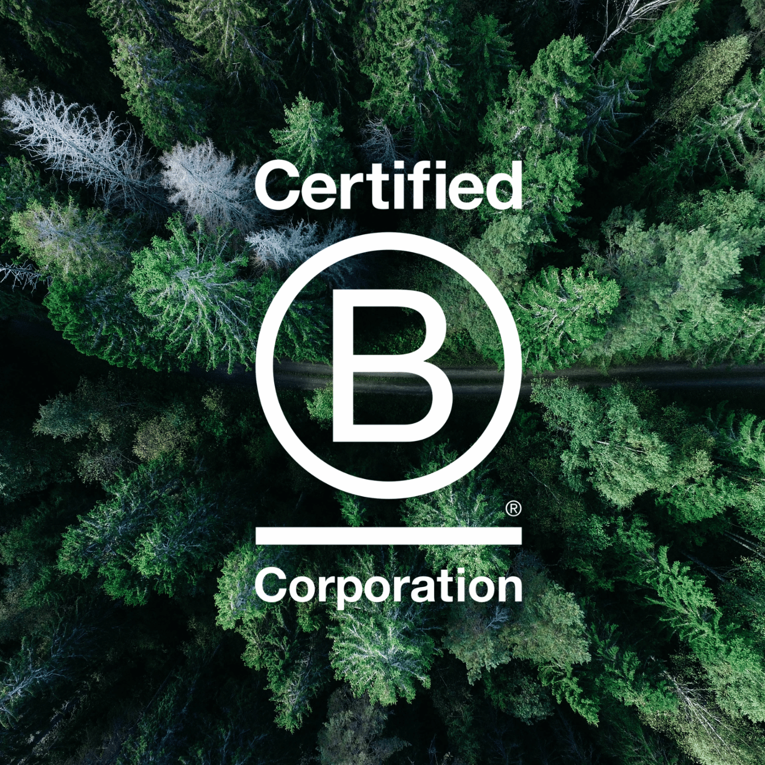 The B corporation logo over a birdseye view of a rainforest. OLPRO is a B corp Certified outdoor lifestyle business