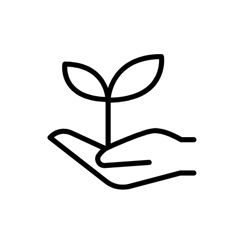 A hand holding a sapling graphic, that symbolises the sapling ecologi plants