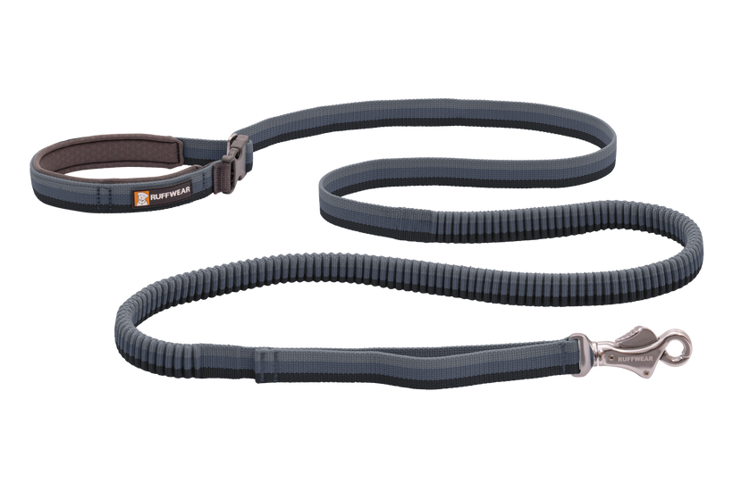 RoamerTM Leash