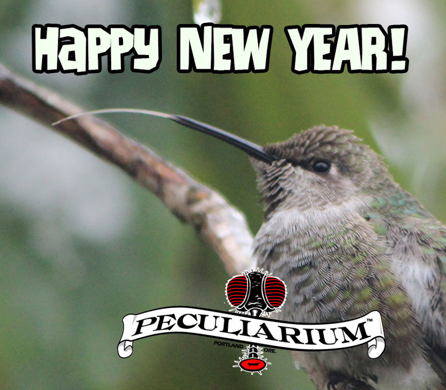 Happy New Year, Humans! 