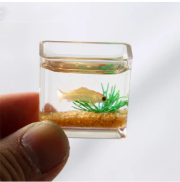 Miniature Fish Tank - rectangle