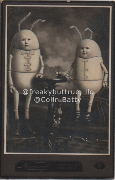 Original Cabinet Card - CC058 Two Beetle Boys