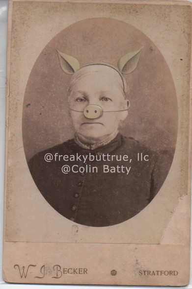 Original Cabinet Card - CC135 Pig Nose Lady