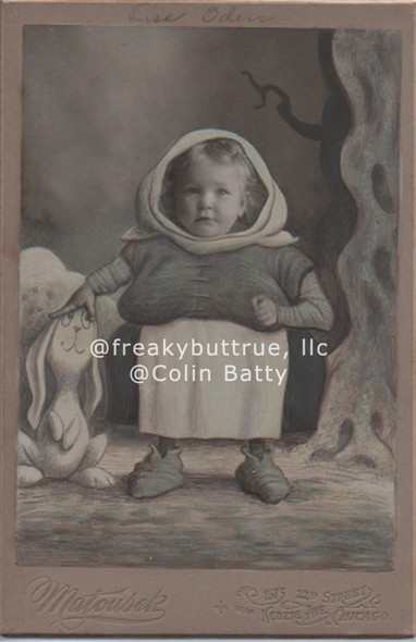 Original Cabinet Card - CC171 Peasant Baby with  Cartoonn Bunny