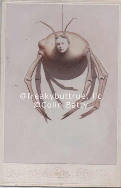 Big Spider with Woman's Head Print by Colin Batty