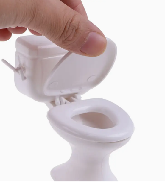 Miniature Toilet