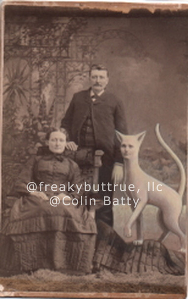Original Cabinet Card - CC092 Couple with Tall Cat Lady