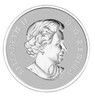 SALE - 2012 $10 FINE SILVER COIN - MAPLE LEAF FOREVER (NO BEAUTY BOX)
