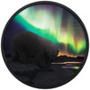 2018 $30 FINE SILVER COIN ARCTIC ANIMALS AND NORTHERN LIGHTS: POLAR BEAR