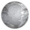 2018 $50 FINE SILVER COIN NATURE'S LIGHT SHOW: STORMY NIGHT