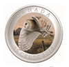 2013 25-CENT COLOURED COIN - BARN OWL