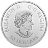 2021 $50 FINE SILVER GREAT LAKES TRIBUTE COIN