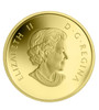 2013 $5 PURE GOLD COIN O CANADA SERIES - THE CARIBOU (1/10oz. GOLD)