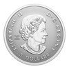 2024 FINE SILVER FRACTIONAL SET - CANADA'S AUTUMN BEAUTY