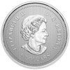 2021 $5 MOMENTS TO HOLD: THE SNOWBIRDS FINE SILVER COIN