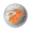 2007 SILVER MAPLE LEAF COLOURED COIN - SUGAR MAPLE IN ORANGE