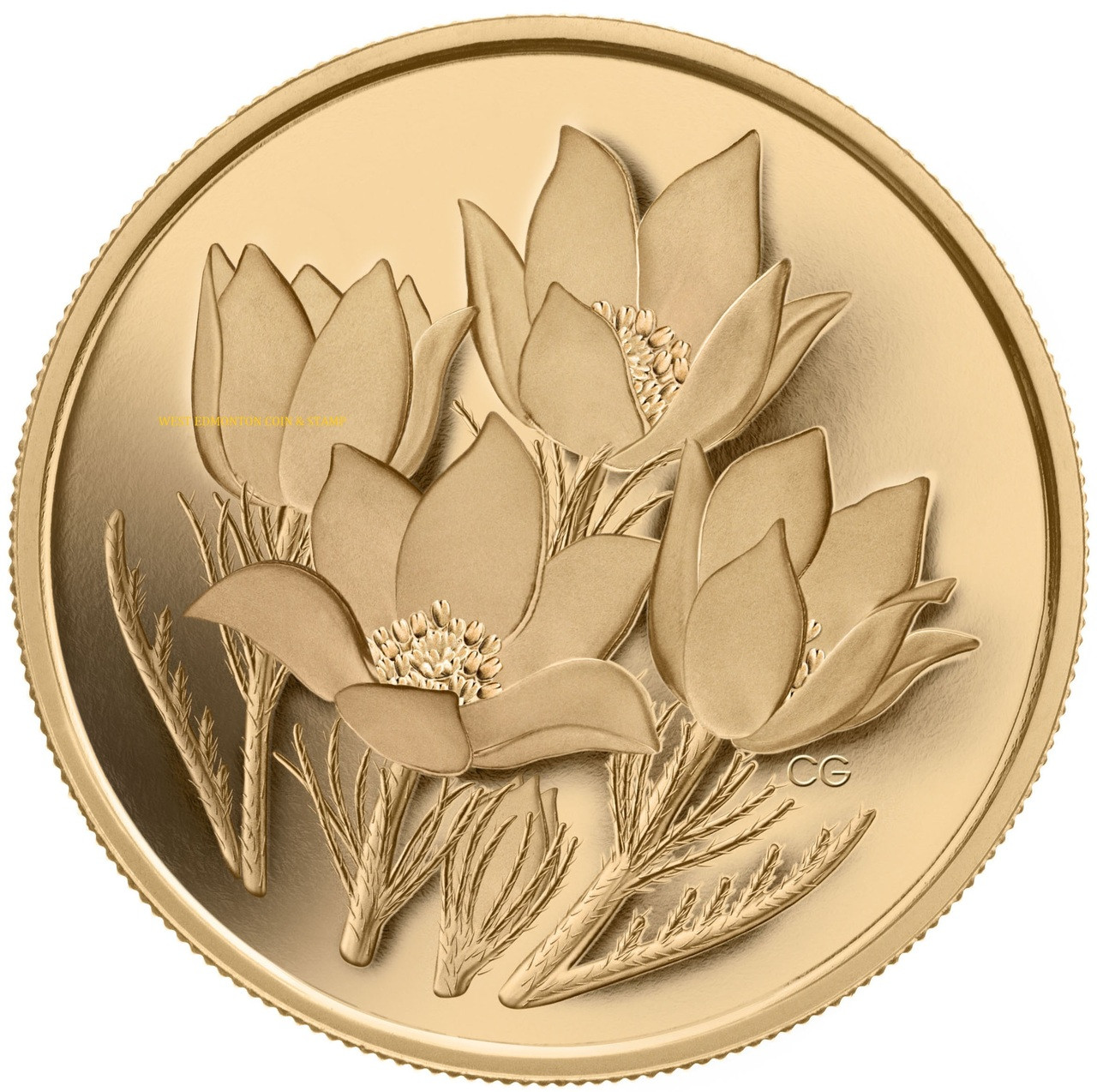Coin de prairie 7m² / VILMORIN/ - OOGarden