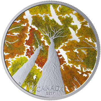 2019 $30 FINE SILVER COIN CANADIAN CANOPY: THE CANADA GOOSE