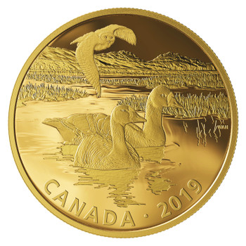 2019 $30 FINE SILVER COIN GOLDEN REFLECTIONS: PREDATOR AND PREY SNOWY OWL AND GREATER WHITE-FRONTED GEESE 2019 $30 FINE SILVER COIN GOLDEN REFLECTIONS: PREDATOR AND PREY SNOWY OWL AND GREATER WHITE-FRONTED GEESE
