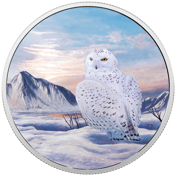 2018 $30 FINE SILVER COIN ARCTIC ANIMALS AND NORTHERN LIGHTS: SNOWY OWL