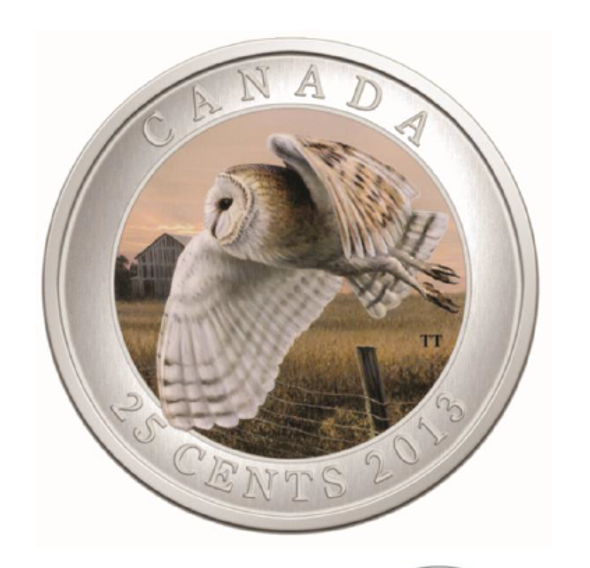 2013 25-CENT COLOURED COIN - BARN OWL