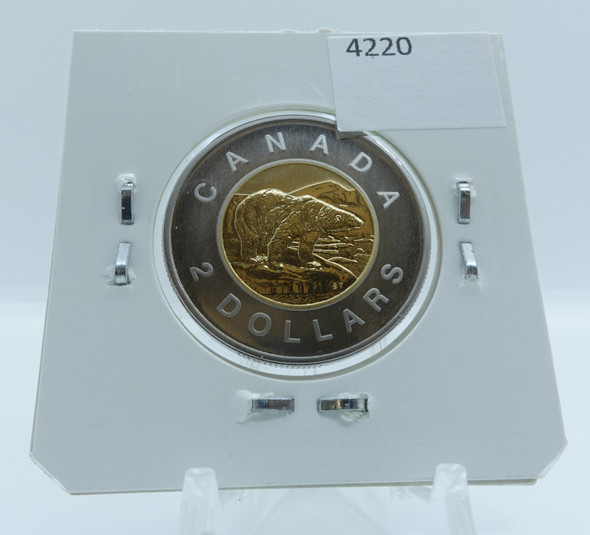 1997 CIRCULATION CANADIAN TOONIE SPECIMEN