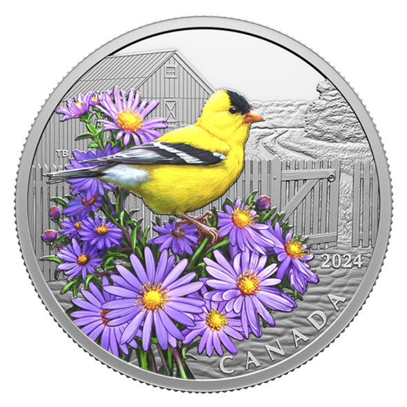 2024 $20 FINE SILVER COIN - COLOURFUL BIRDS: AMERICAN GOLDFINCH