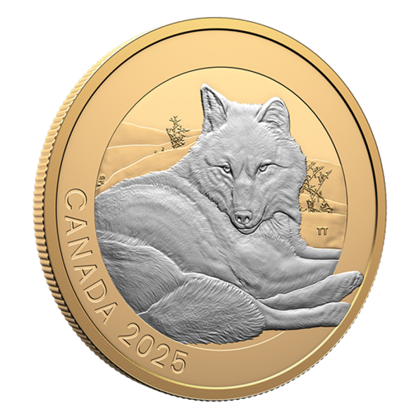 2025 $20 ANIMAL PORTRAITS: GREY WOLF FINE SILVER COIN 2025 $20 ANIMAL PORTRAITS: GREY WOLF FINE SILVER COIN