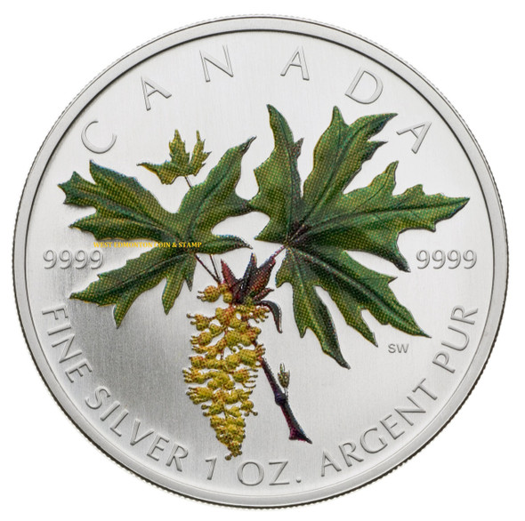 2005 SILVER MAPLE LEAF COLOURED COIN - BIG LEAF MAPLE