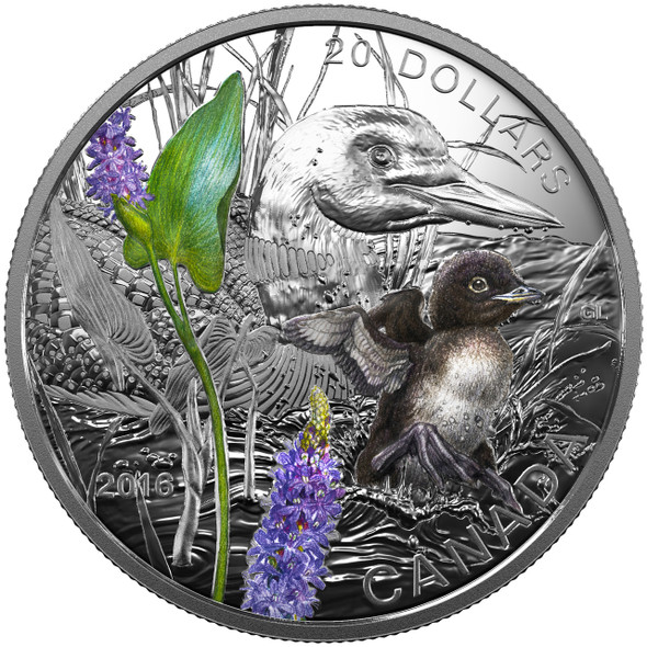 2016 $20 FINE SILVER COIN - BABY ANIMALS: COMMON LOON