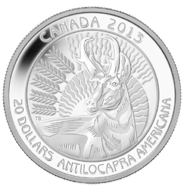 2013 $20 FINE SILVER COIN PRONGHORN - UNTAMED WILDERNESS 