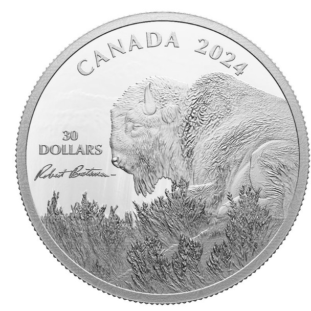 2024 $30 FINE SILVER COIN WEATHER WATCH - BISON, BY ROBERT BATEMAN