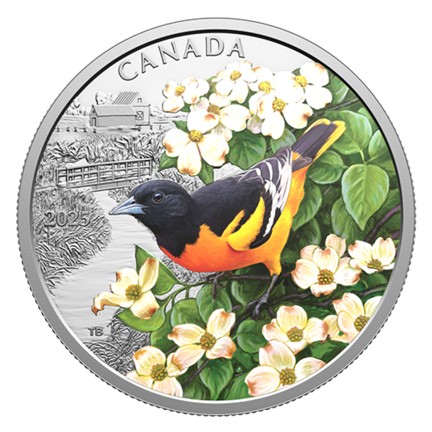 2025 $20 COLOURFUL BIRDS: BALTIMORE ORIOLE FINE SILVER COIN 2025 $20 COLOURFUL BIRDS: BALTIMORE ORIOLE FINE SILVER COIN