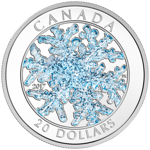 【カナダ銀貨】2017年製 $20 銀貨 雪の結晶 スノーフレーク 2017_Fine_SIlver_Coin_-