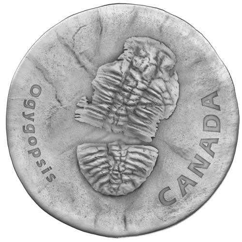 2017_20_Fine_Silver_Coin_-