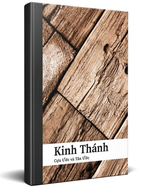 Vietnamese City Bible (Contemporary Version)