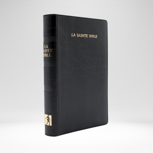 French Bible (Segond 1910) Vinyl Blue - Imperfect