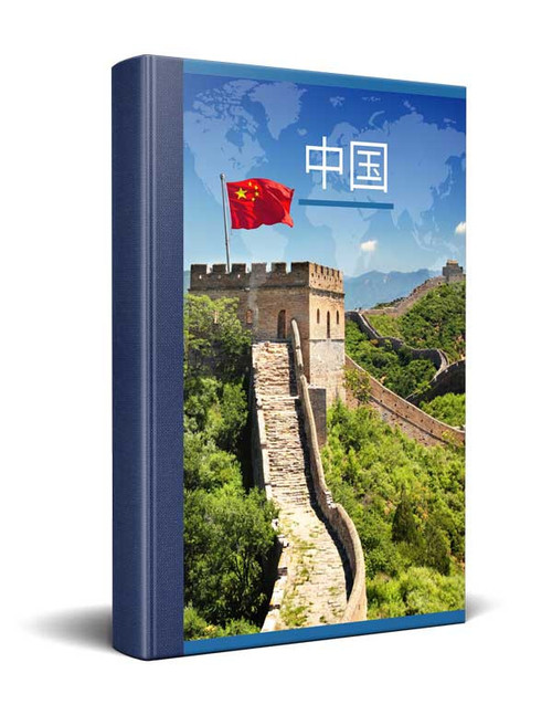 Chinese Simplified New Testament City Bible Paperback - Imperfect