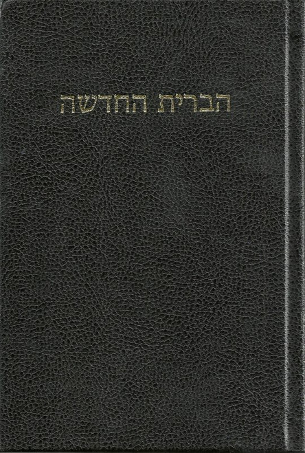 Hebrew New Testament (Delitzsch)