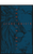 PORTUGUESE NVT Max Lion Cover