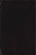 Romanian Bible - Used