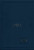 Vietnamese Bible Blue Vinyl - Imperfect