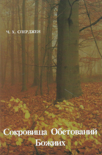 The cover shows a foggy beech wood in autumn/fall, with beech trunks and many yellow/golden beech leaves on the ground. The title is near the bottom of the cover in white lettering.