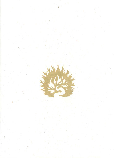 Front of box (same as back)