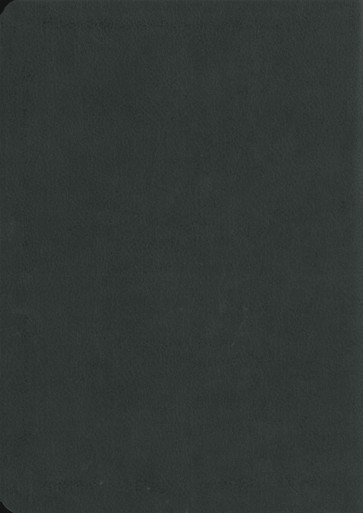 Back of book