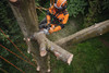 STIHL MSA 220 T 16-inch cordless top-handle chainsaw in use by a tree care professional performing elevated branch cutting.